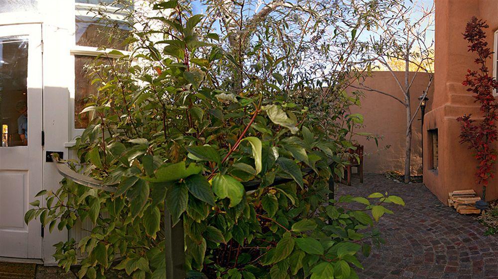 Las Palomas Santa Fé Exteriér fotografie